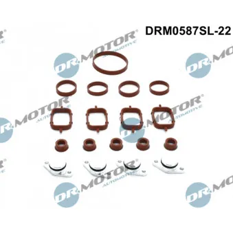 Jeu de joints d'étanchéité, collecteur d'admission Dr.Motor DRM0587SL-22