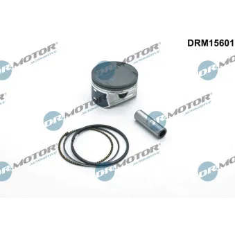 Piston Dr.Motor DRM15601