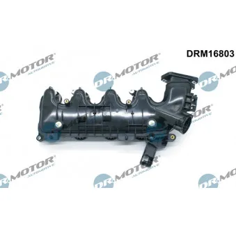 Module de tube d'admission Dr.Motor DRM16803