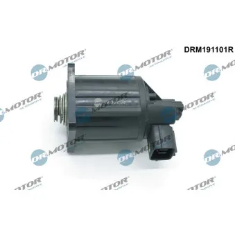 Vanne EGR Dr.Motor DRM191101R