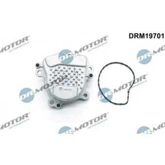 Pompe à eau Dr.Motor DRM19701