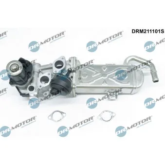 Vanne EGR Dr.Motor DRM211101S