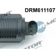 Vanne EGR Dr.Motor DRM611107 - Visuel 2