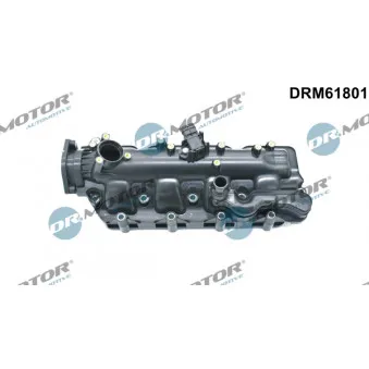 Module de tube d'admission Dr.Motor DRM61801
