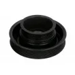 Poulie, vilebrequin BTA E6G0016BTA - Visuel 1