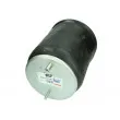 Ressort pneumatique, suspension pneumatique MAGNUM TECHNOLOGY 5002-03-0118P - Visuel 1