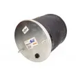 Ressort pneumatique, suspension pneumatique MAGNUM TECHNOLOGY 5002-03-0173P - Visuel 1