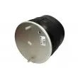 Ressort pneumatique, suspension pneumatique MAGNUM TECHNOLOGY 5002-03-0249P - Visuel 1