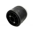 Ressort pneumatique, suspension pneumatique MAGNUM TECHNOLOGY 5002-03-0249P - Visuel 2