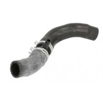 Durite de radiateur THERMOTEC DW1016TT