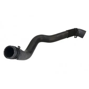 Durite de radiateur THERMOTEC DWB126TT