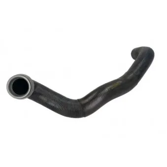 Durite de radiateur THERMOTEC DWM009TT