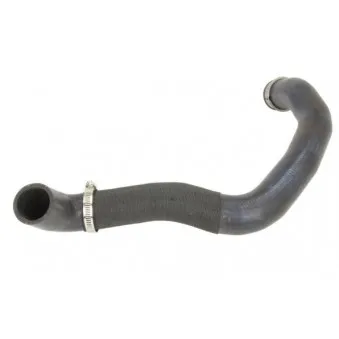 Durite de radiateur THERMOTEC DWM174TT