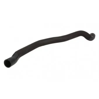 Durite de radiateur THERMOTEC DWV029TT