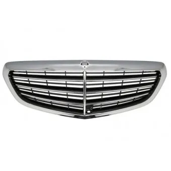 Grille de radiateur BLIC 5601-00-3529994PP