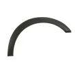 Baguette et bande protectrice, aile avant droit BLIC 5703-08-9522376P - Visuel 1