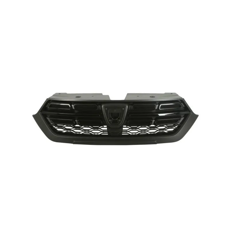 Grille de radiateur BLIC 6502-07-1311991P