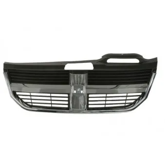 Grille de radiateur BLIC 6502-07-2050991P