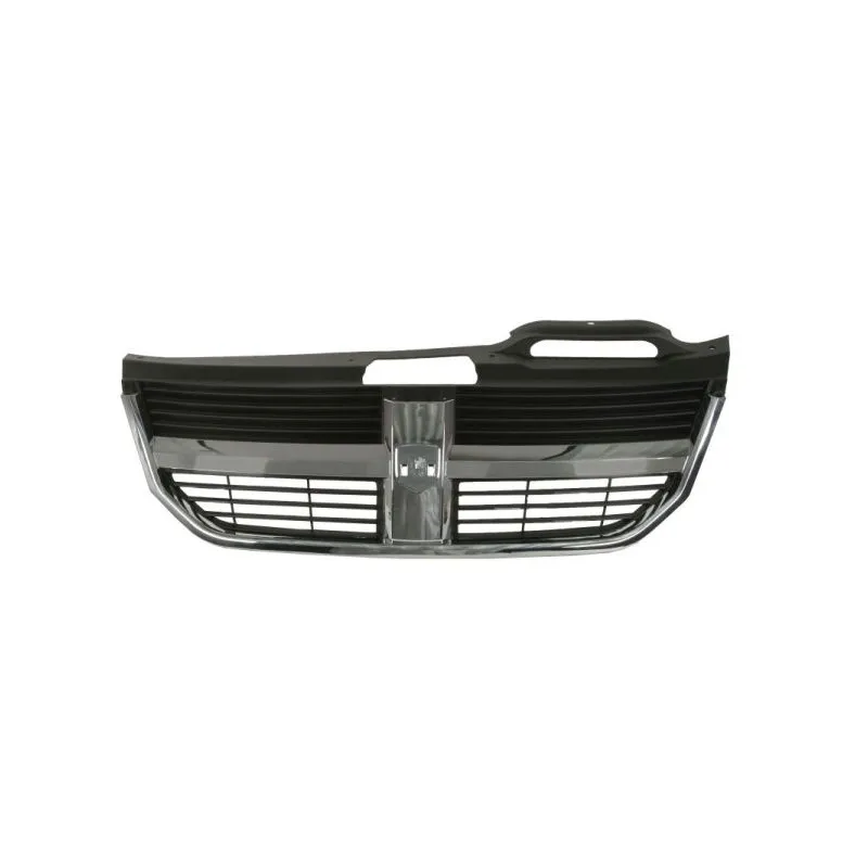 Grille de radiateur BLIC 6502-07-2050991P
