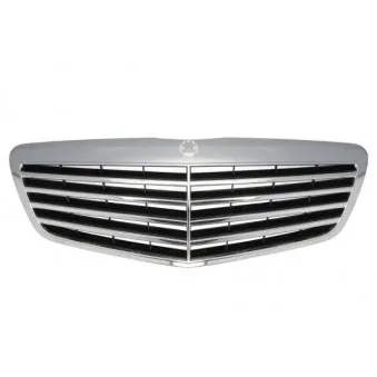 Grille de radiateur BLIC 6502-07-3514992P