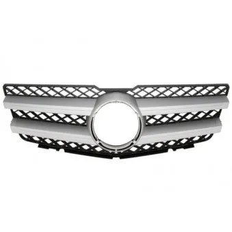 Grille de radiateur BLIC 6502-07-3580992P