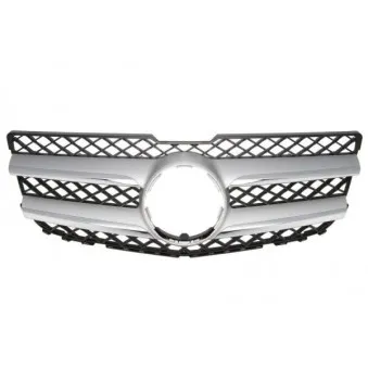 Grille de radiateur BLIC 6502-07-3580993P