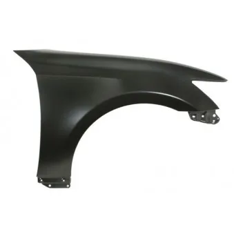 Aile avant droit BLIC