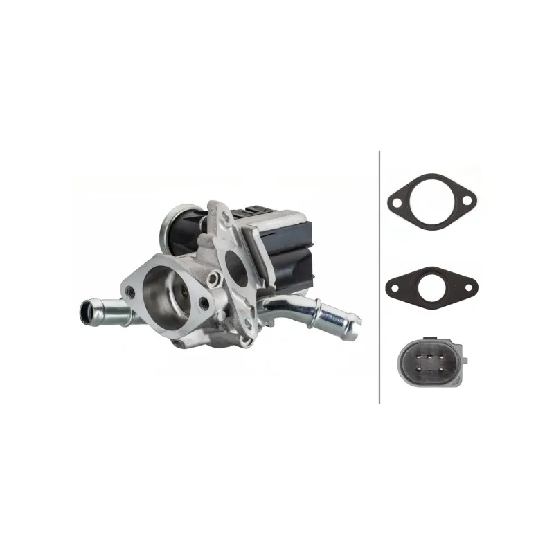Vanne EGR HELLA 6NU 010 171-901