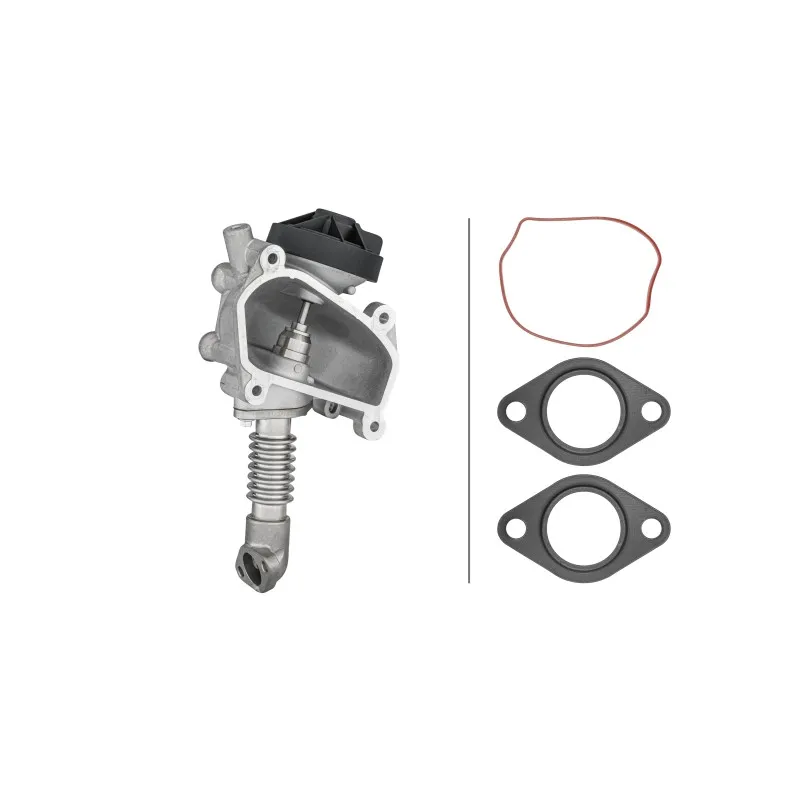 Vanne EGR HELLA 6NU 014 864-641