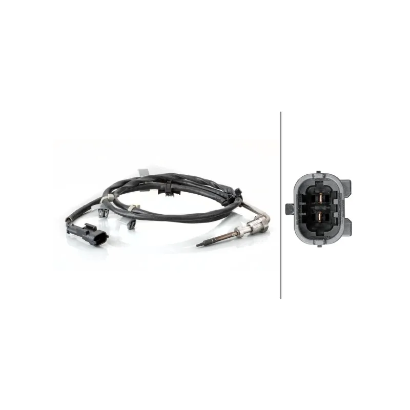 Capteur, température des gaz HELLA 6PT 014 494-611