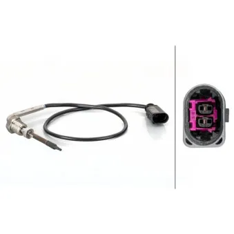 Capteur, température des gaz HELLA 6PT 014 494-861