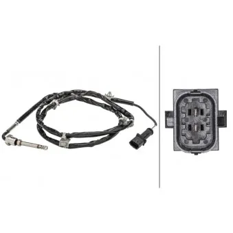 Capteur, température des gaz HELLA 6PT 358 181-071