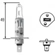 Ampoule, projecteur principal HELLA 8GH 002 089-153 - Visuel 1
