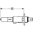 Ampoule, projecteur principal HELLA 8GH 002 089-153 - Visuel 2