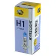 Ampoule, projecteur longue portée HELLA 8GH 223 498-111 - Visuel 1
