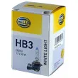 Ampoule, projecteur longue portée HELLA 8GH 223 498-161 - Visuel 1