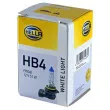 Ampoule, projecteur longue portée HELLA 8GH 223 498-171 - Visuel 1