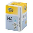 Ampoule, projecteur longue portée HELLA 8GJ 223 498-121 - Visuel 1