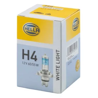 Ampoule, projecteur longue portée HELLA 8GJ 223 498-121
