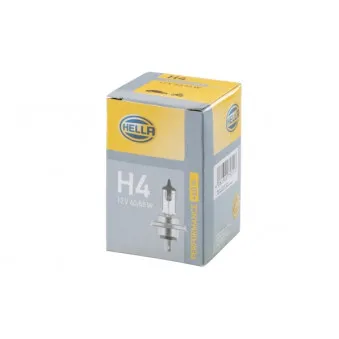 Ampoule, projecteur longue portée HELLA 8GJ 223 498-221
