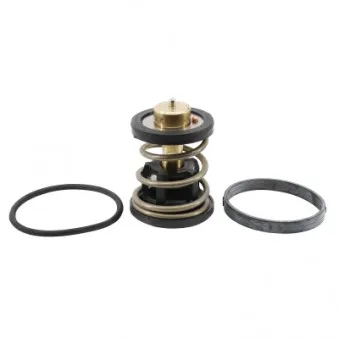 Thermostat, liquide de refroidissement MEAT & DORIA