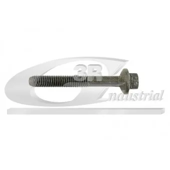 Vis, support pour controleur d'injecteurs 3RG 83631