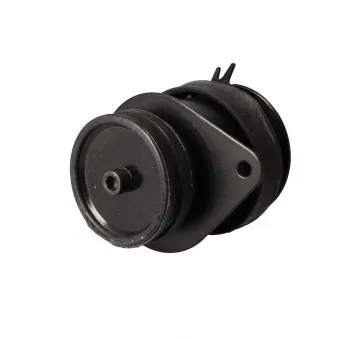 Support moteur arrière droit LTD LTD-1H0199262E