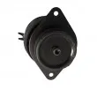 Support moteur arrière droit LTD LTD-1H0199262E - Visuel 2