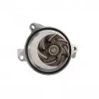 Pompe à eau LTD LTD-074121005N - Visuel 2