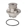 Pompe à eau LTD LTD-1334078 - Visuel 1