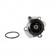 Pompe à eau LTD LTD-038121011GX - Visuel 1
