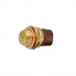 Interrupteur de température, ventilateur de radiateur LTD LTD-867959481 - Visuel 3