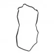 Joint de cache culbuteurs LTD LTD-12341RNAA01 - Visuel 2