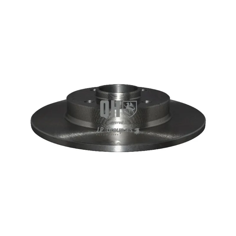 Jeu de 2 disques de frein arrière JP GROUP 4163202100